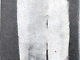 Guggenheim Susi - Frau mit Kind 1961